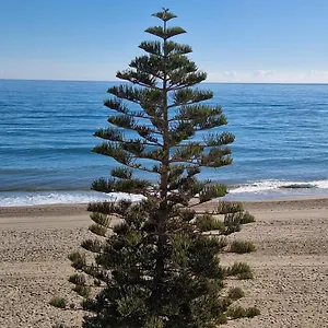 Appartement Atico Frente Al Mar, Un 